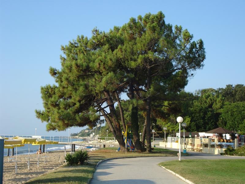 Impresii si Pareri Hoteluri Riviera Holiday Club